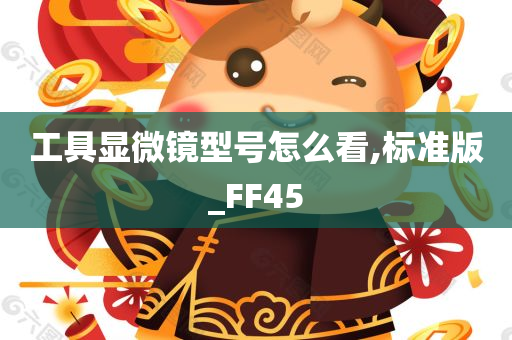 工具显微镜型号怎么看,标准版_FF45