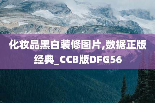 化妆品黑白装修图片,数据正版经典_CCB版DFG56