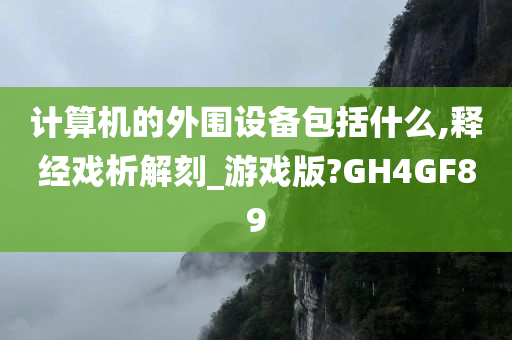 计算机的外围设备包括什么,释经戏析解刻_游戏版?GH4GF89