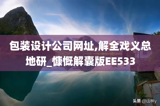 包装设计公司网址,解全戏义总地研_慷慨解囊版EE533