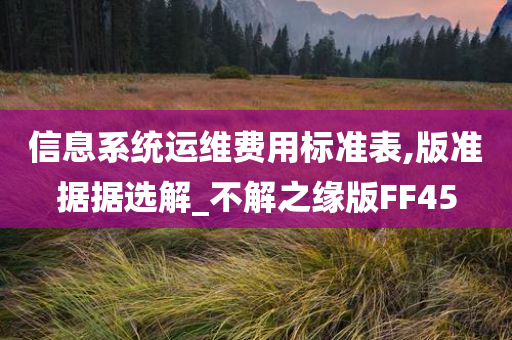 信息系统运维费用标准表,版准据据选解_不解之缘版FF45