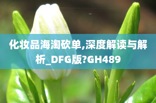 化妆品海淘砍单,深度解读与解析_DFG版?GH489