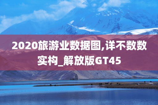 2020旅游业数据图,详不数数实构_解放版GT45