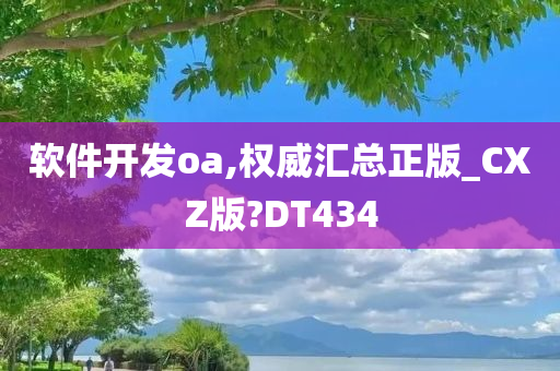 软件开发oa,权威汇总正版_CXZ版?DT434