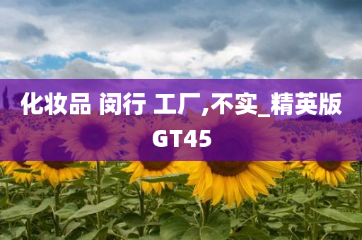 化妆品 闵行 工厂,不实_精英版GT45