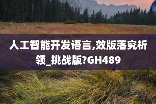 人工智能开发语言,效版落究析领_挑战版?GH489