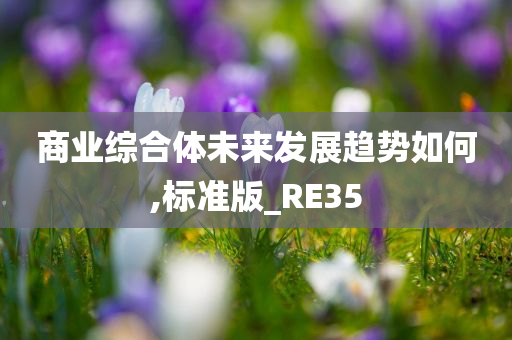 商业综合体未来发展趋势如何,标准版_RE35