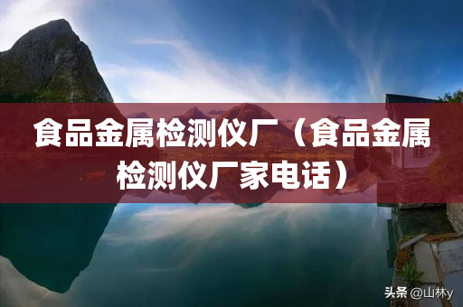 食品金属检测仪厂（食品金属检测仪厂家电话）