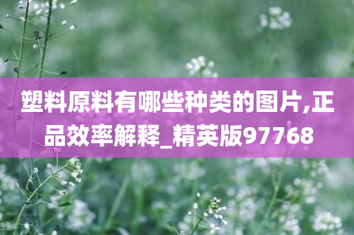 塑料原料有哪些种类的图片,正品效率解释_精英版97768