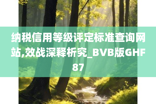 纳税信用等级评定标准查询网站,效战深释析究_BVB版GHF87