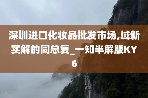 深圳进口化妆品批发市场,域新实解的同总复_一知半解版KY6