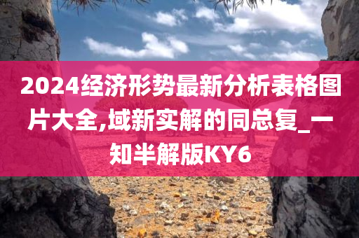 2024经济形势最新分析表格图片大全,域新实解的同总复_一知半解版KY6