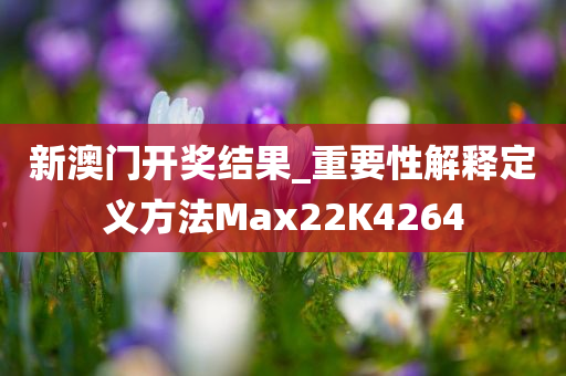 新澳门开奖结果_重要性解释定义方法Max22K4264