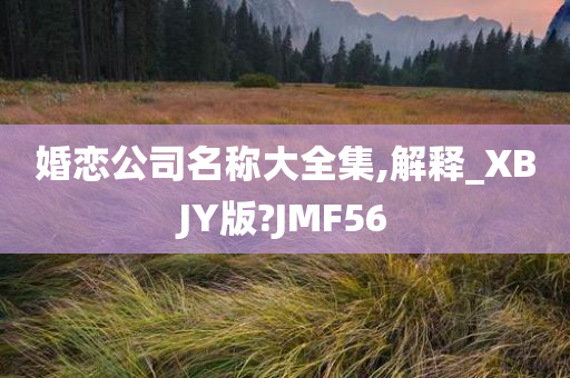 婚恋公司名称大全集,解释_XBJY版?JMF56