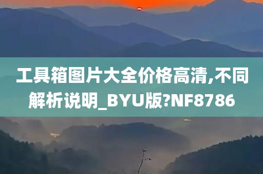 工具箱图片大全价格高清,不同解析说明_BYU版?NF8786