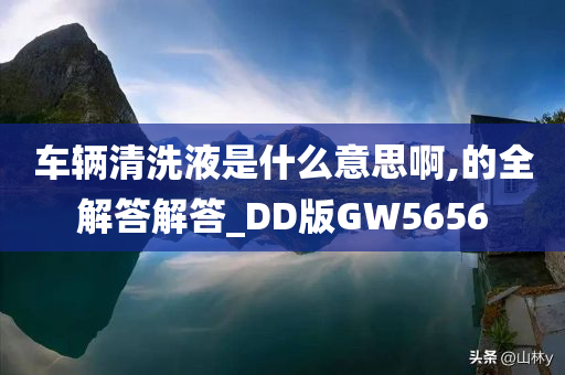 车辆清洗液是什么意思啊,的全解答解答_DD版GW5656