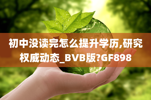 初中没读完怎么提升学历,研究权威动态_BVB版?GF898