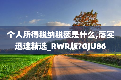 个人所得税纳税额是什么,落实迅速精选_RWR版?GJU86