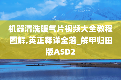 机器清洗暖气片视频大全教程图解,英正释详全落_解甲归田版ASD2