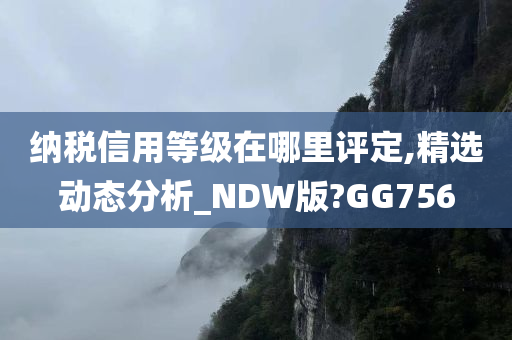 纳税信用等级在哪里评定,精选动态分析_NDW版?GG756