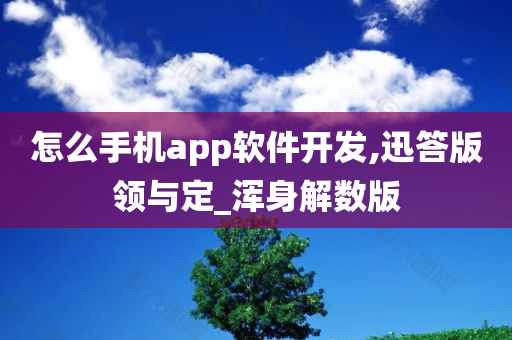 怎么手机app软件开发,迅答版领与定_浑身解数版