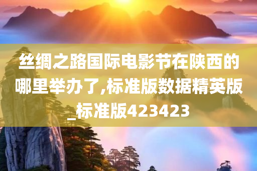 丝绸之路国际电影节在陕西的哪里举办了,标准版数据精英版_标准版423423