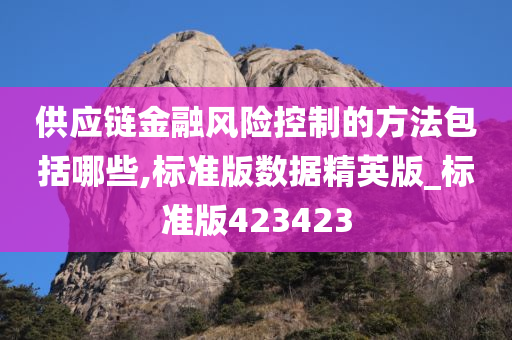 供应链金融风险控制的方法包括哪些,标准版数据精英版_标准版423423