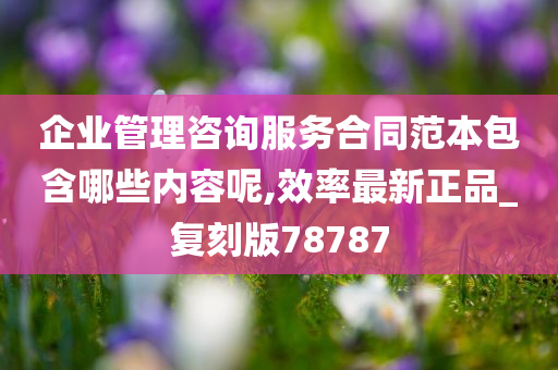 企业管理咨询服务合同范本包含哪些内容呢,效率最新正品_复刻版78787