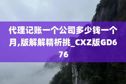 代理记账一个公司多少钱一个月,版解解精析挑_CXZ版GD676