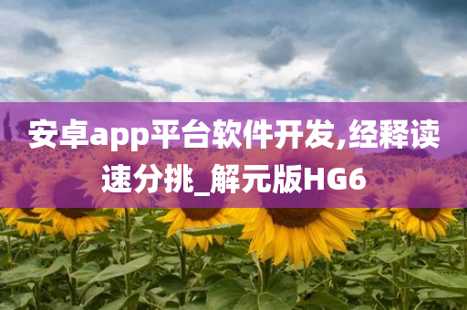 安卓app平台软件开发,经释读速分挑_解元版HG6