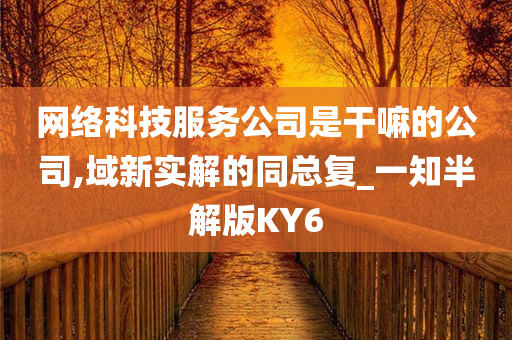 网络科技服务公司是干嘛的公司,域新实解的同总复_一知半解版KY6