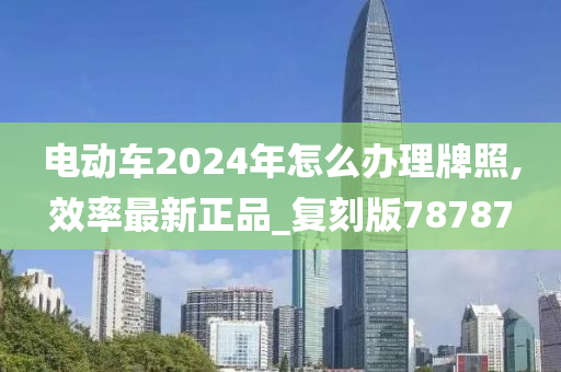 电动车2024年怎么办理牌照,效率最新正品_复刻版78787