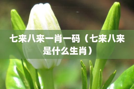 七来八来一肖一码（七来八来是什么生肖）