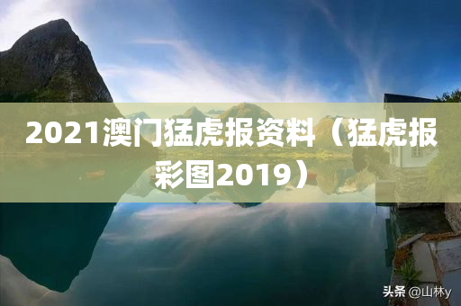 2021澳门猛虎报资料（猛虎报彩图2019）