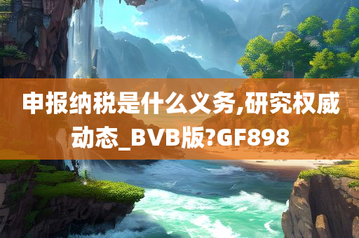 申报纳税是什么义务,研究权威动态_BVB版?GF898