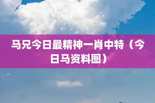 马兄今日最精神一肖中特（今日马资料图）