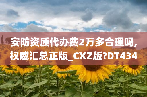 安防资质代办费2万多合理吗,权威汇总正版_CXZ版?DT434