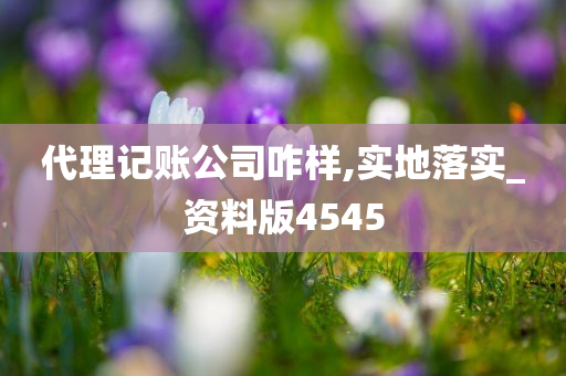 代理记账公司咋样,实地落实_资料版4545