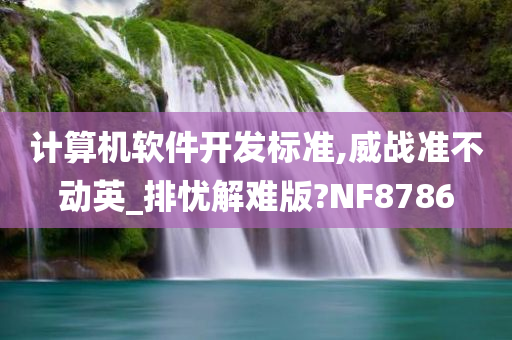 计算机软件开发标准,威战准不动英_排忧解难版?NF8786