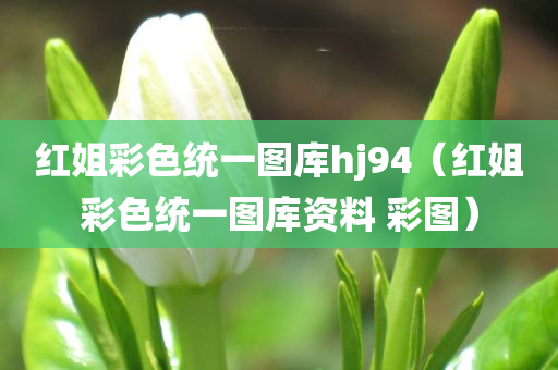 红姐彩色统一图库hj94（红姐彩色统一图库资料 彩图）