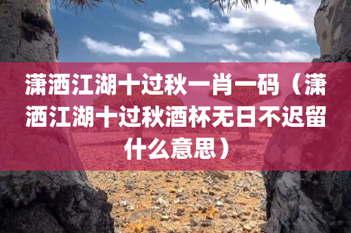 潇洒江湖十过秋一肖一码（潇洒江湖十过秋酒杯无日不迟留什么意思）