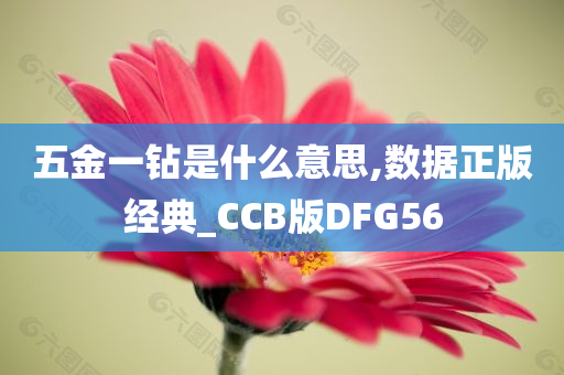 五金一钻是什么意思,数据正版经典_CCB版DFG56