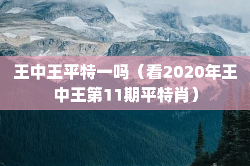 王中王平特一吗（看2020年王中王第11期平特肖）