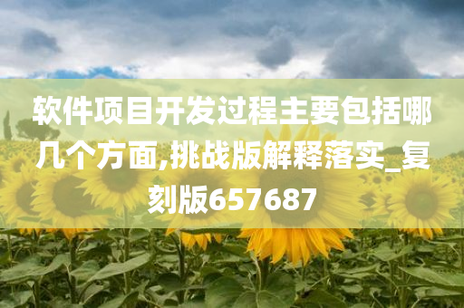 软件项目开发过程主要包括哪几个方面,挑战版解释落实_复刻版657687