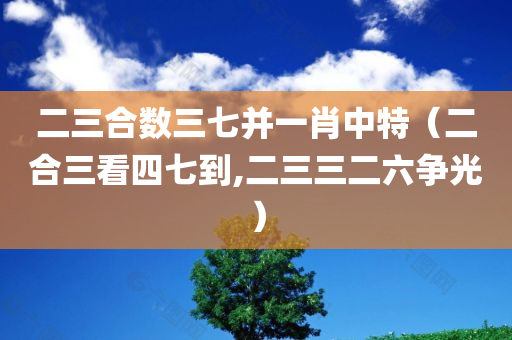 二三合数三七并一肖中特（二合三看四七到,二三三二六争光）