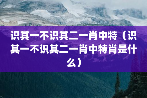 识其一不识其二一肖中特（识其一不识其二一肖中特肖是什么）