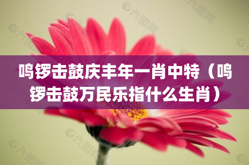 鸣锣击鼓庆丰年一肖中特（鸣锣击鼓万民乐指什么生肖）