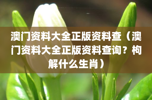 澳门资料大全正版资料查（澳门资料大全正版资料查询？枸解什么生肖）