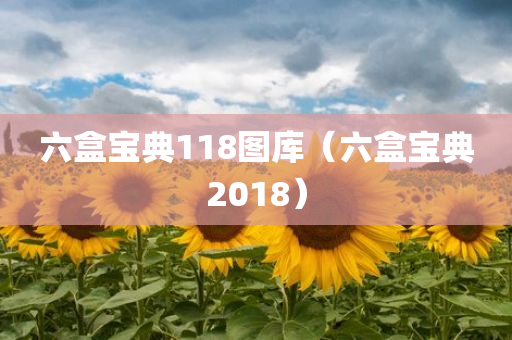 六盒宝典118图库（六盒宝典2018）