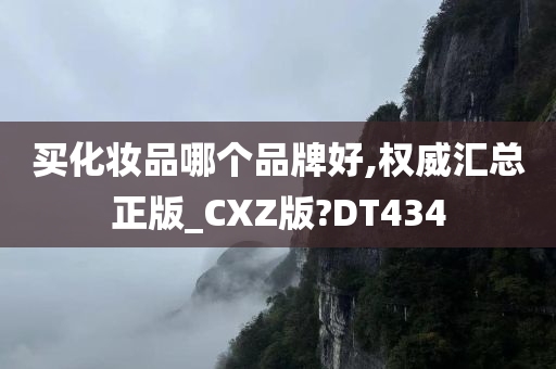 买化妆品哪个品牌好,权威汇总正版_CXZ版?DT434